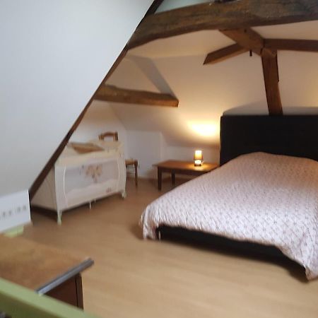 Chez Laiko Wifi Gratuit Villa Beaulieu-sur-Loire Eksteriør bilde