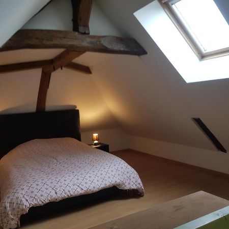 Chez Laiko Wifi Gratuit Villa Beaulieu-sur-Loire Eksteriør bilde
